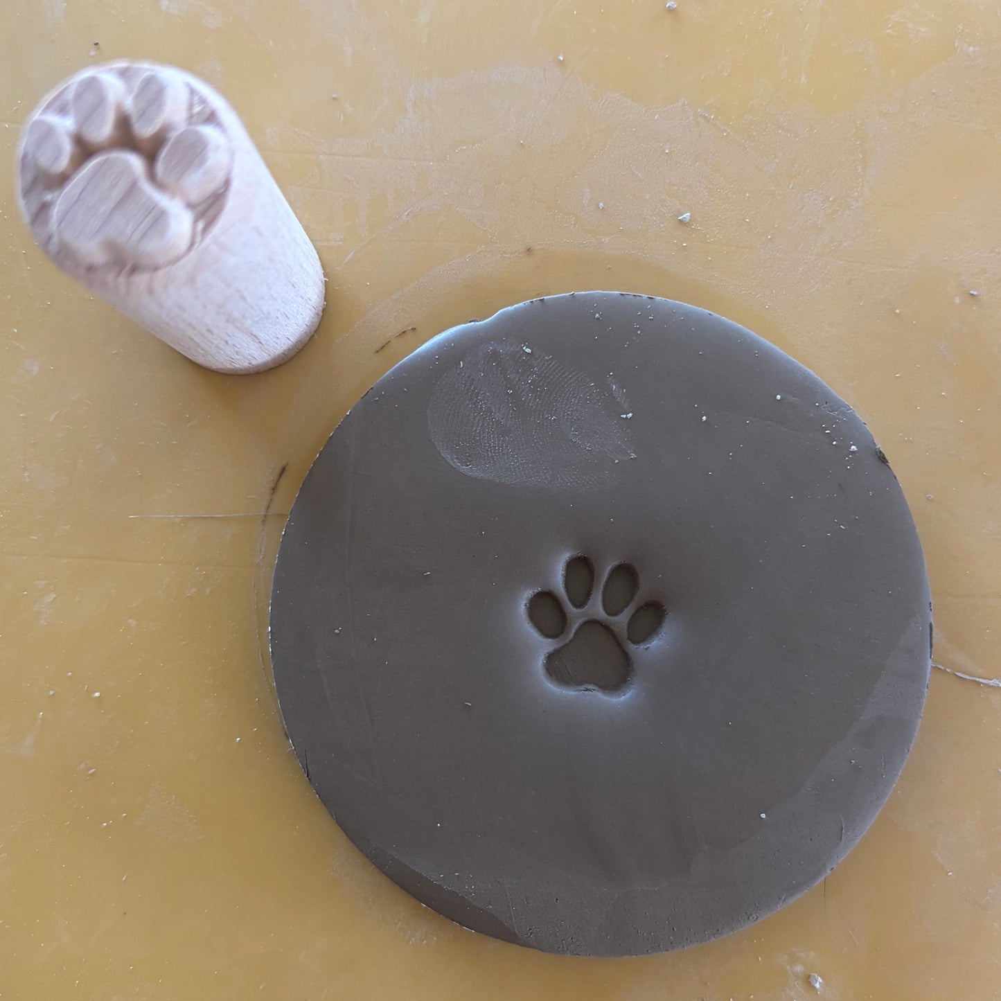 A circular gray clay with a paw print stamped in it, shown on a yellow surface next to a small cylindrical paw stamp tool.